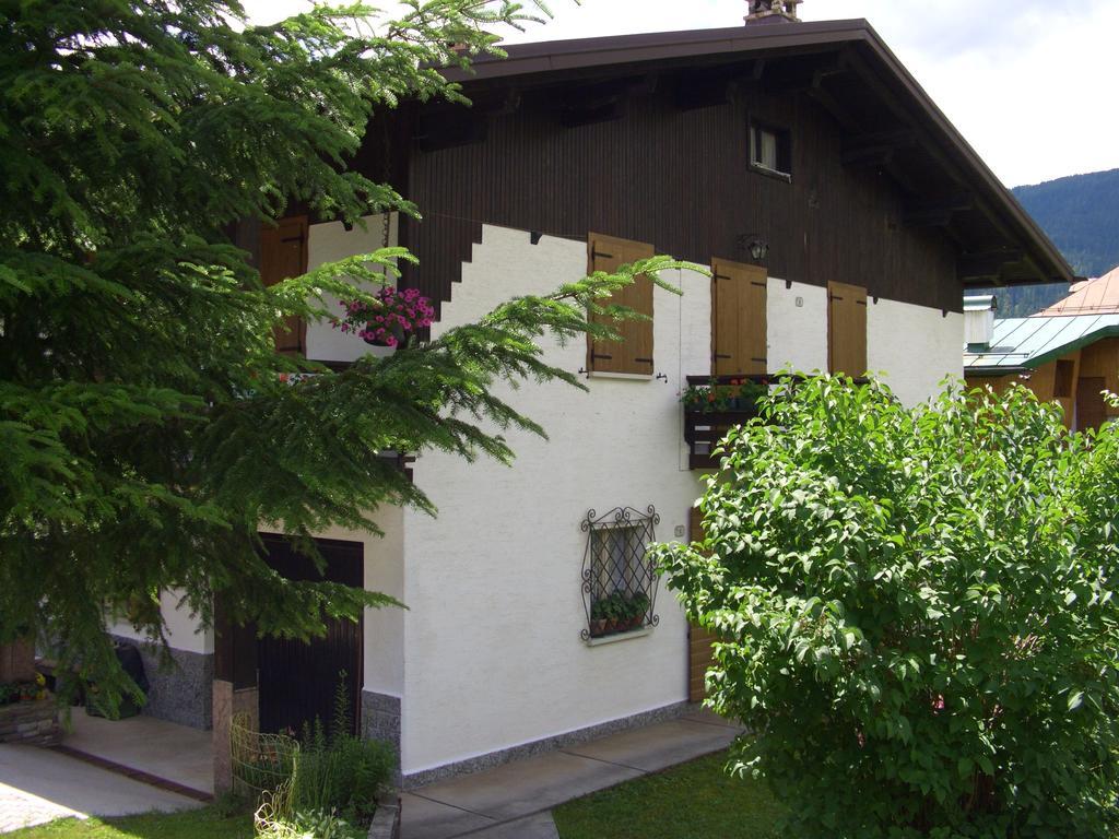 Mountain Chalet Cime D'Auta Dolomiti Διαμέρισμα Falcade Εξωτερικό φωτογραφία